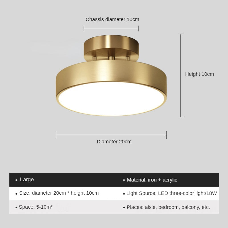 New Gold Ceiling Lamp Nordic Lighting Luxury Corridor Living Room Bedroom Hallway Interior Front Porch Kitchen Decoration Light