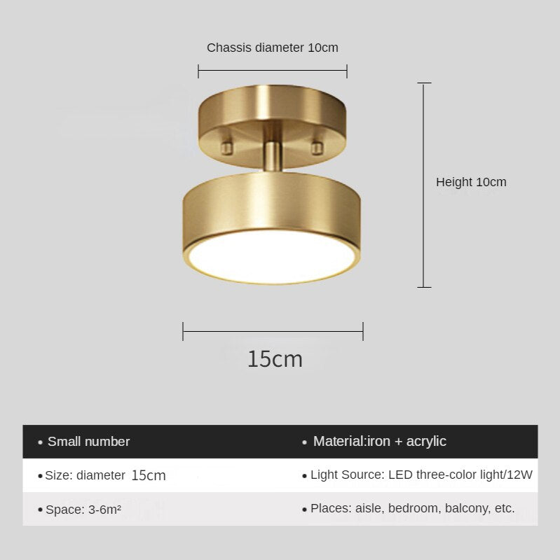 New Gold Ceiling Lamp Nordic Lighting Luxury Corridor Living Room Bedroom Hallway Interior Front Porch Kitchen Decoration Light
