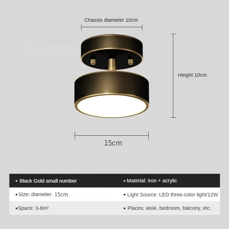 New Gold Ceiling Lamp Nordic Lighting Luxury Corridor Living Room Bedroom Hallway Interior Front Porch Kitchen Decoration Light