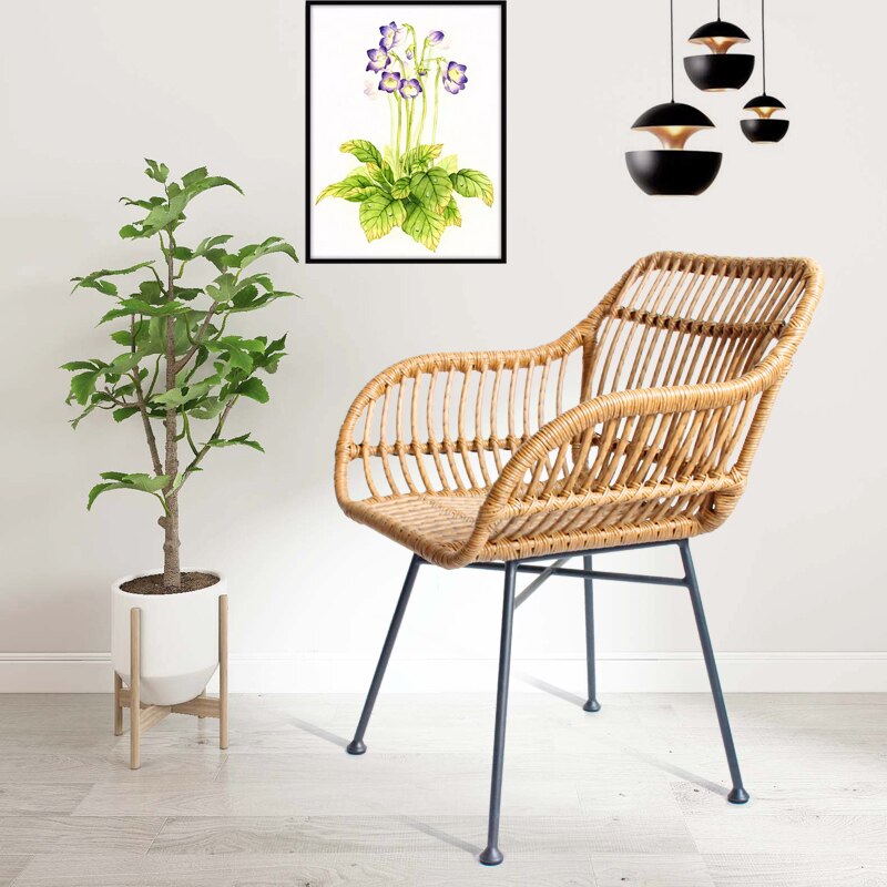 Rattan Dining Chairs Lounge Kitchen Furniture Armchair Rattan Accent Living Room Chair Modern Minimalist Cadeiras Furniture